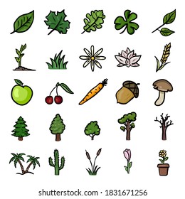 Vector Set of Color Doodle Plants Icons