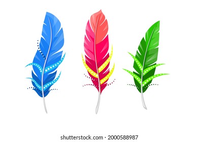 Vector set of color feather