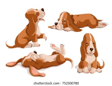Vector set of color hand drawn basset hounds. Cute puppies isolated on white background. Funny animal characters