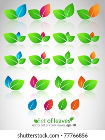 vector set of color leaves.