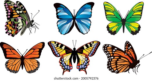 Vector set of colored butterflies. 6 pieces of different sitting and flying butterflies