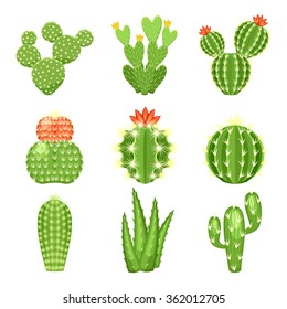 Vector set of colored cactus and succulent plants. Decorative isolated icons illustration. Cartoon style doodles.