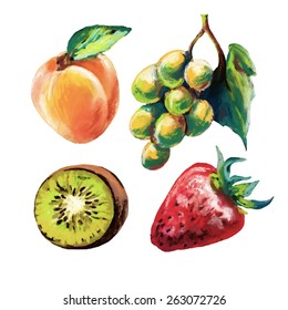 vector set of colored chalk fruit