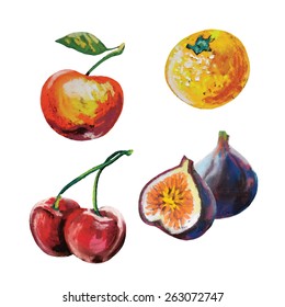 vector set of colored chalk fruit