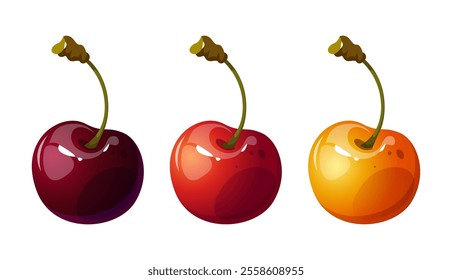Vector set of colored cherries