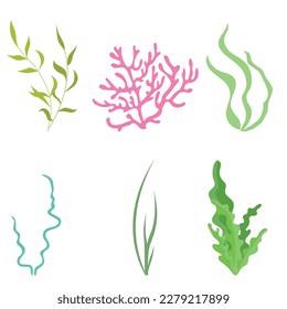 Vector set of colored corals and seaweed silhouettes. Underwater coral reef and sea kelp in hand drawn doodle style. Marine aquarium plants illustration.
