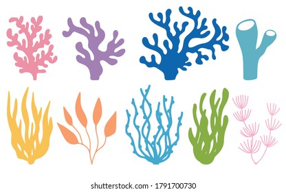 Vector set colored corals   seaweeds silhouettes  Underwater coral reef   sea kelp in hand drawn doodle style  Marine aquarium plants illustration 