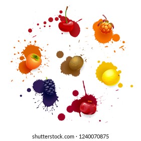 Vector set of colored fresh juicy fruits and blots