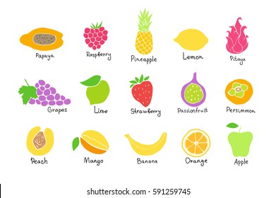 Vector set of colored hand drawn fruit and berries icons. Doodle set of different cut fruits and berries. Healthy food. Exotic fruits. Collection of fruits and berries
