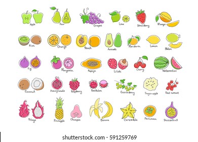 Vector set of colored hand drawn fruit and berries icons. Doodle set of different cut fruits and berries. Healthy food. Exotic fruits. Collection of fruits and berries