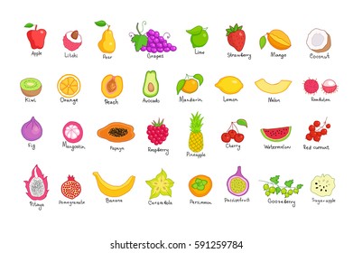 Vector set of colored hand drawn fruit and berries icons. Doodle set of different cut fruits and berries. Healthy food. Exotic fruits. Collection of fruits and berries