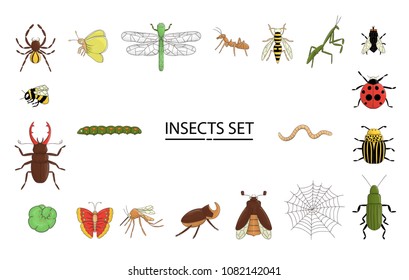 Vector set of colored insects. Collection of isolated on white background bright bee, bumble bee may-bug, fly, moth, butterfly, caterpillar, spider, ladybug, beetle, dragonfly, wasp, mosquito, ant