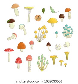 Vector set of colored mushrooms. Collection of isolated bright aspen, orange-cup, champignon, chanterelle, toadstool, death cap, fungus. Food elements in cartoon style.