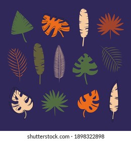 Vector set of colored tropical leaves,isolated on white background . Stock vector illustration