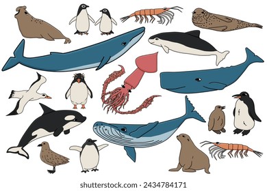 Conjunto de vectores de animales coloridos en la Antártida. Colección de contornos dibujados a mano de ballenas, pingüinos, skua, krill, focas, marsopa.
Ilustraciones aisladas sobre fondo blanco