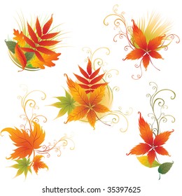 Vector set of colorful autumn leafs design elements. Thanksgiving