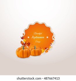 Vector set of colorful autumn leaves with label design and photorealisit pumpkin vector illustration. Isolated vector emblem design with fall leaves.