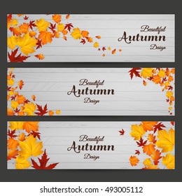 Vector set of colorful autumn leaves banners illustration