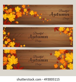 Vector set of colorful autumn leaves banners illustration