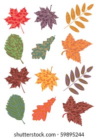 vector set of colorful autumn leaves