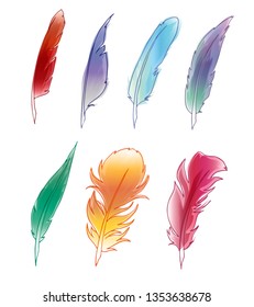 Vector set of colorful bird feathers