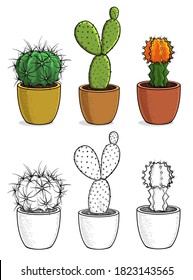 Conjunto vectorial de cactus coloridos con contornos. Cacti para el diseño aislado de fondo blanco