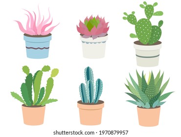 Vector set of colorful cactus plants in colored pots. isolated on white background. cactus for design.