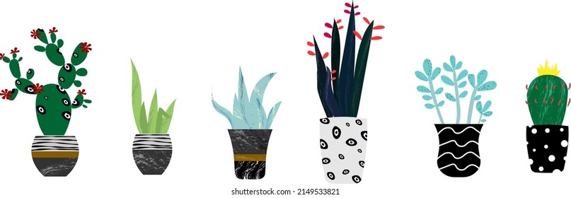 Vector set of colorful cactus plants in colored pots with outlines. Exotic and Tropical Plants - Cacti for design isolated on white background. Flat, cartoon style. Vector illustration white backgroun