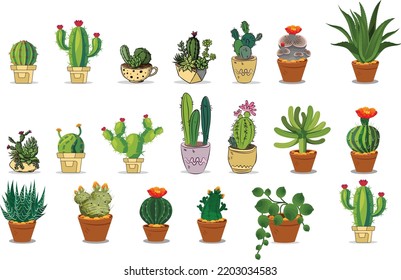 Vector set of colorful cactus plants in colored pots with outlines. Exotic and Tropical Plants - Cacti for design isolated on white background. Hand drawn cactus for design.