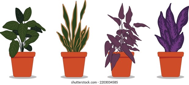 Vector set of colorful cactus plants in colored pots with outlines. Exotic and Tropical Plants - Cacti for design isolated on white background. Hand drawn cactus for design.
