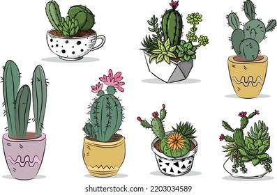 Vector set of colorful cactus plants in colored pots with outlines. Exotic and Tropical Plants - Cacti for design isolated on white background. Hand drawn cactus for design.