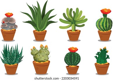 Vector set of colorful cactus plants in colored pots with outlines. Exotic and Tropical Plants - Cacti for design isolated on white background. Hand drawn cactus for design.