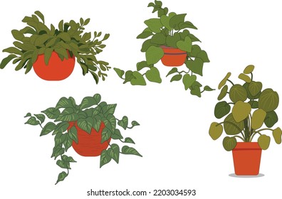 Vector set of colorful cactus plants in colored pots with outlines. Exotic and Tropical Plants - Cacti for design isolated on white background. Hand drawn cactus for design.