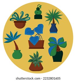 Vector set of colorful cactus plants in colored pots with outlines. Exotic and Tropical Plants