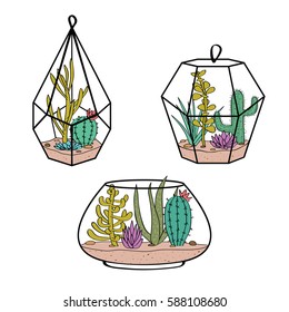 Vector set with colorful cactuses and succulents in terrariums. Illustration with  home plants in scandinavian style.