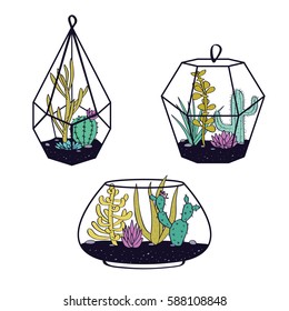 Vector set with colorful cactuses and succulents in terrariums. Illustration with  home plants in scandinavian style.