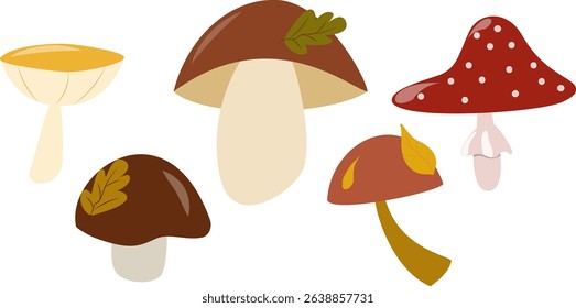 Vector set of colorful cartoon mushrooms. Ideal for children's designs, nature autumn themes, packaging, stickers, and digital art. Fun and playful style for creative projects.