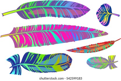 Vector set of colorful feathers. Gradient inner glowing. Various shapes. Isolated on white background
