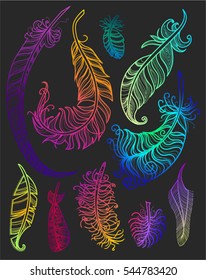 Vector set of colorful feathers. Various shapes. Gradient contour. Decorative elements. Isolated on dark background
