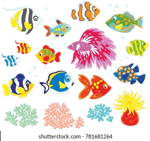 Vector set of colorful fishes