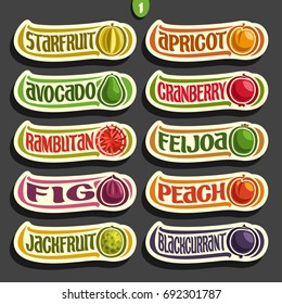 Vector Set of colorful Fruits and Berries Labels: collection of exsotic fruit logo with lettering title text isolated on black, set of cartoon simple labels for juice or candy, abstract fruits stikers