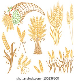 Vector Set of colorful grain, corn, rye, wheat.