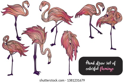 Vector set of colorful hand draw illustration pink flamingos on white background