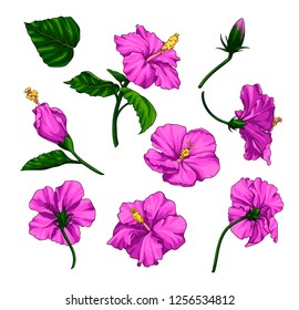 Vector Illustration Watercolor Flowers Painting Violet Stock Vector ...