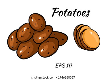 Vector set with colorful image of potatoes. cut potatoes into slices. Vector set isolated on white background.