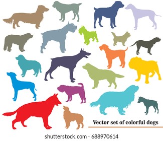 Vector set of colorful isolated different breeds dogs silhouettes on white backround 