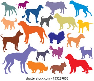 Vector set of colorful isolated different breeds dogs silhouettes on white background. Part 4