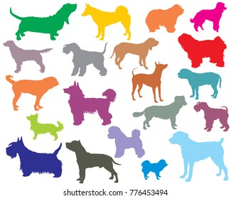 Vector set of colorful isolated different breeds dogs silhouettes on white background. Part 5