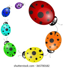 vector set of colorful ladybirds