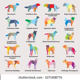 Vector set of colorful mosaic isolated different breeds dogs silhouettes on grey background. Part 6